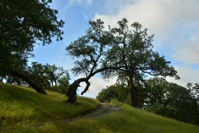 DSC_6802 (Large).JPG